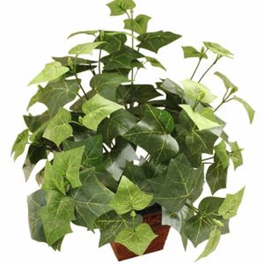 Cây cối nhân tạo màu xanh lá cây trong nồi