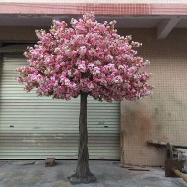 Pha trộn màu sắc nhân tạo cây Sakura