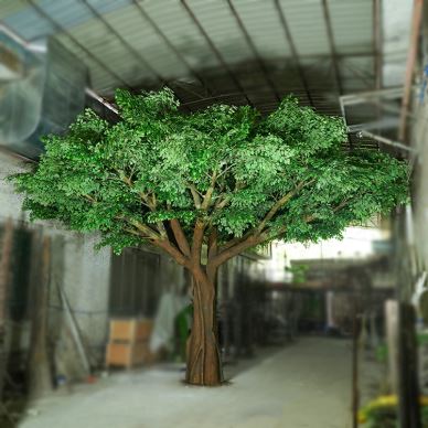 Cây lụa lớn Faux Fig Cây tán lá Cây thân lớn để bán